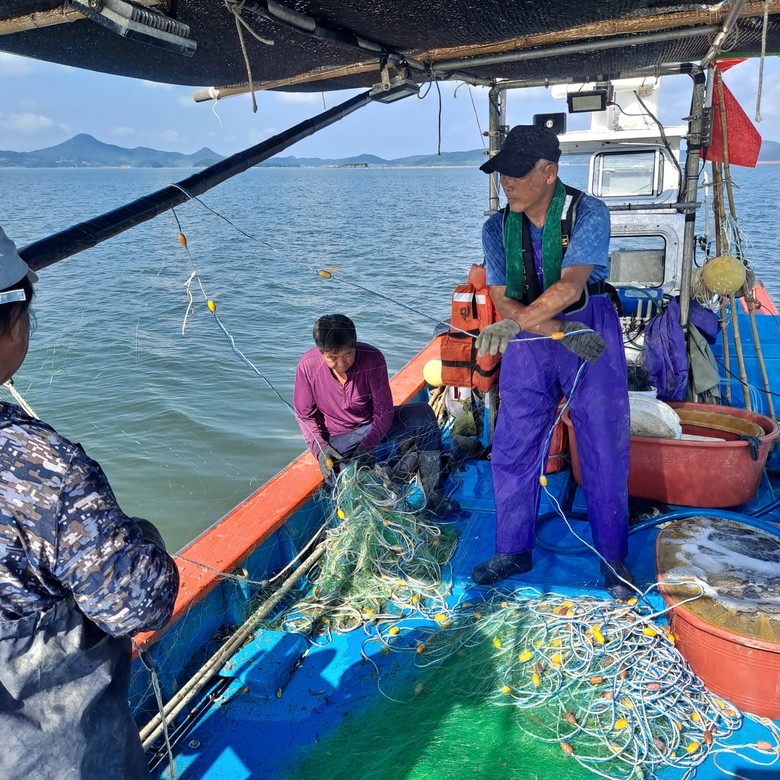 전남귀어학교 14기 교육생 모집