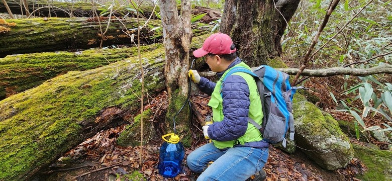 천연 당분 함유 건강 이온음료 고로쇠...